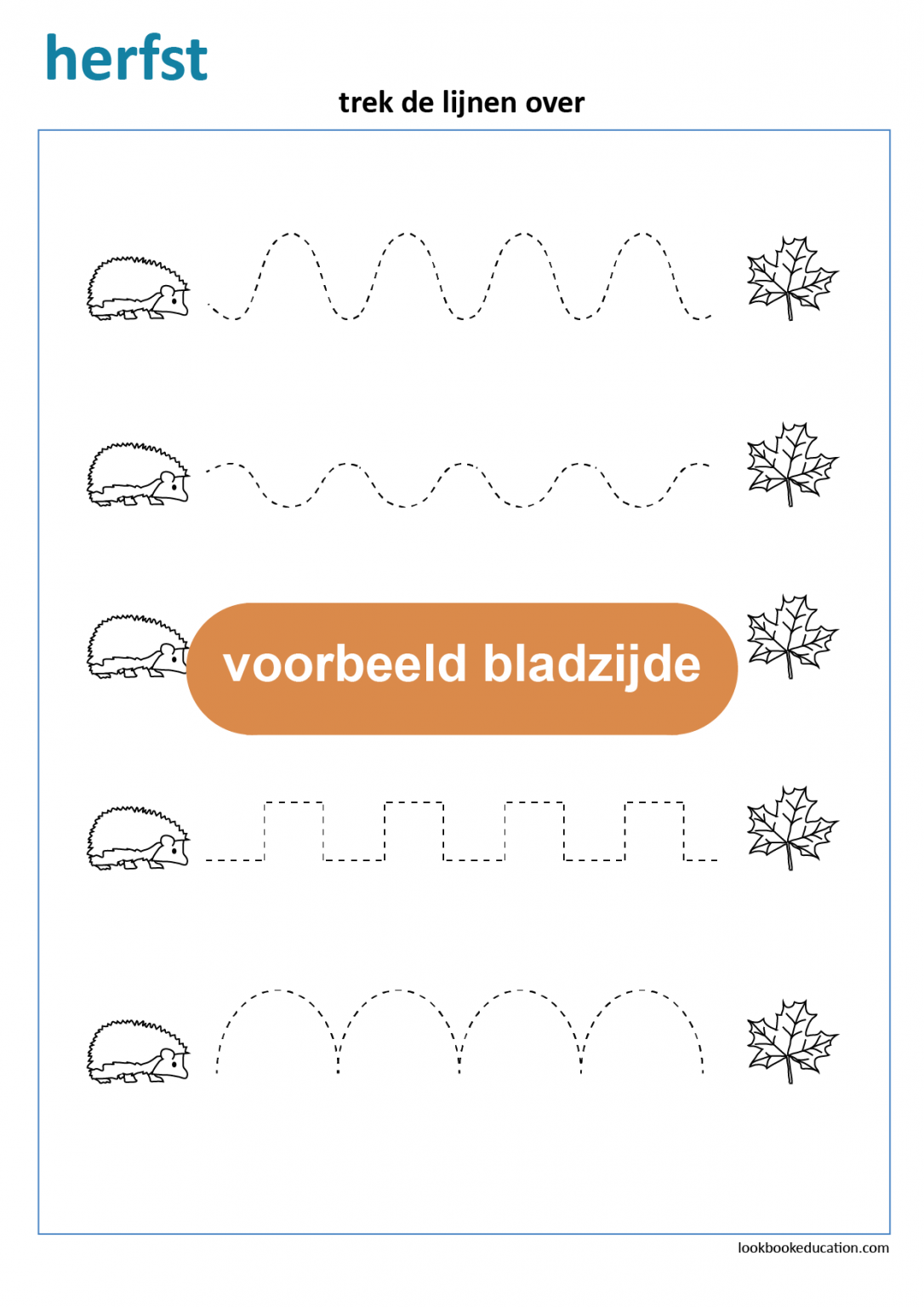 Werkblad Schrijfpatroon Herfst Egel LookbookEducation Nl