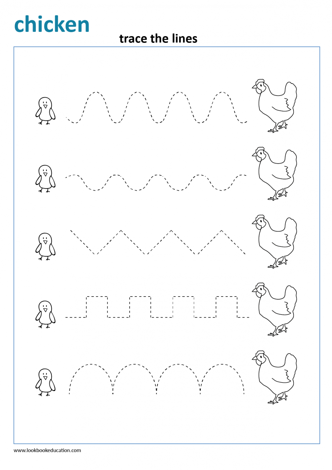 Worksheet Tracing Chicken - Lookbook Education