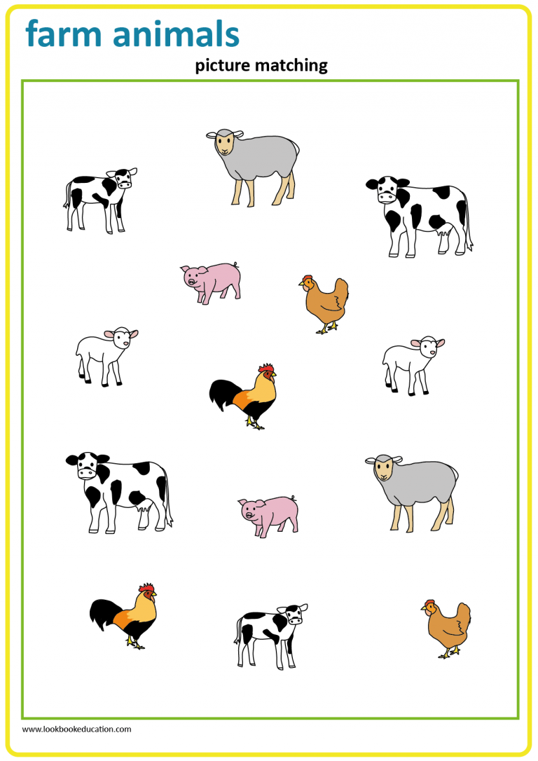 Worksheet Picture Matching Farm Animals LookbookEducation com