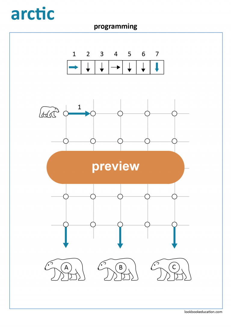 Worksheet Programming Arctic - LookbookEducation.com