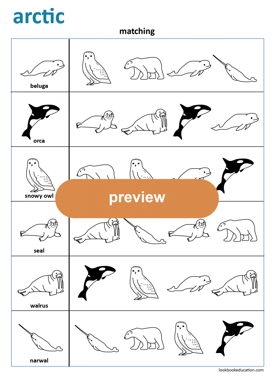 worksheet-matching-arctic-lookbookeducation